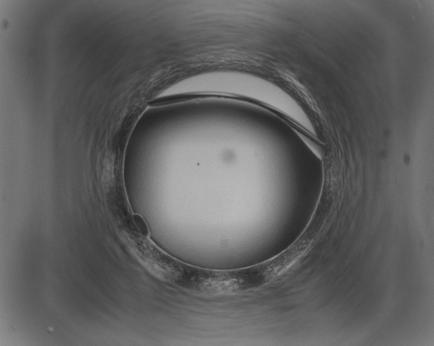 X0000086090213200704091335