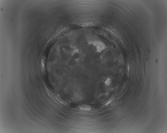 X0000086090214200704091335