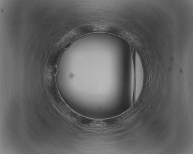 X0000086090215200704091335