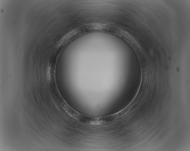 X0000086090216200704091335