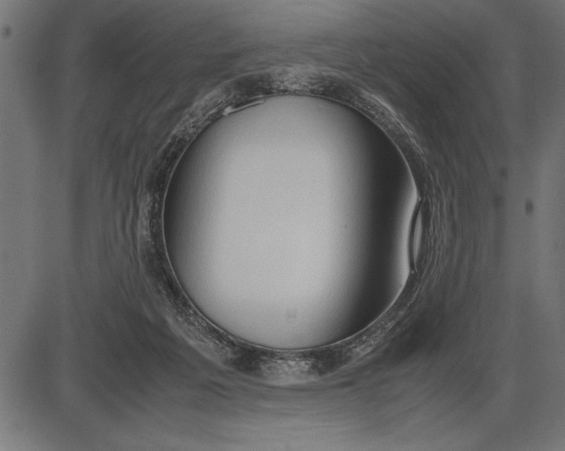 X0000086090217200704091335