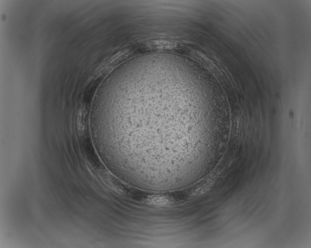 X0000086090218200704091335