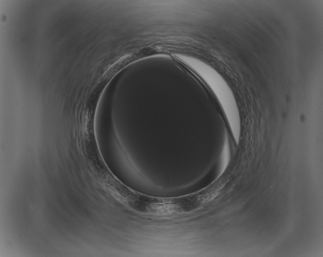 X0000086090219200704091335