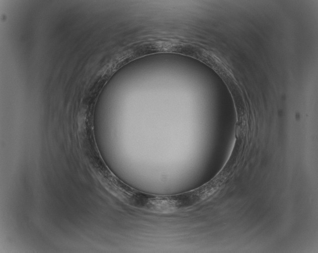 X0000086090221200704091335