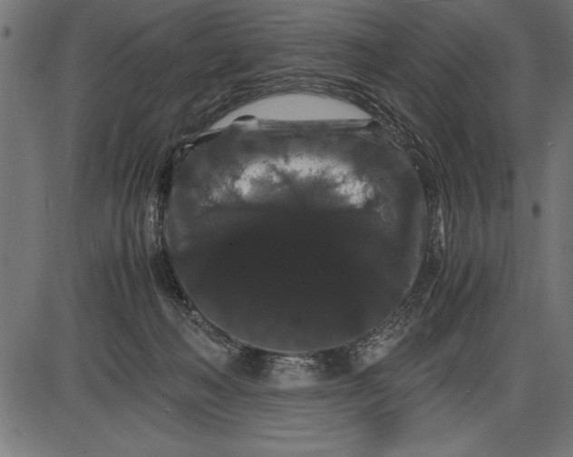 X0000086090222200704091335