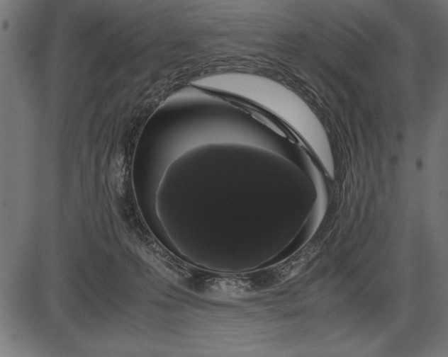 X0000086090223200704091335