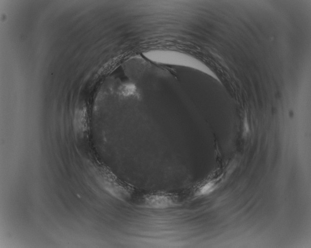 X0000086090224200704091335