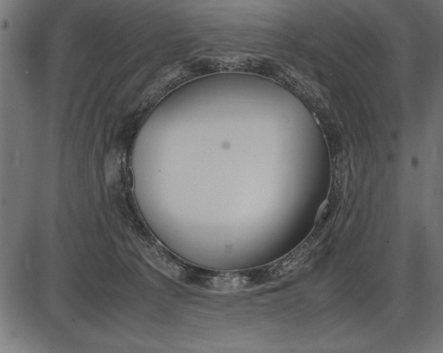 X0000086090225200704091335