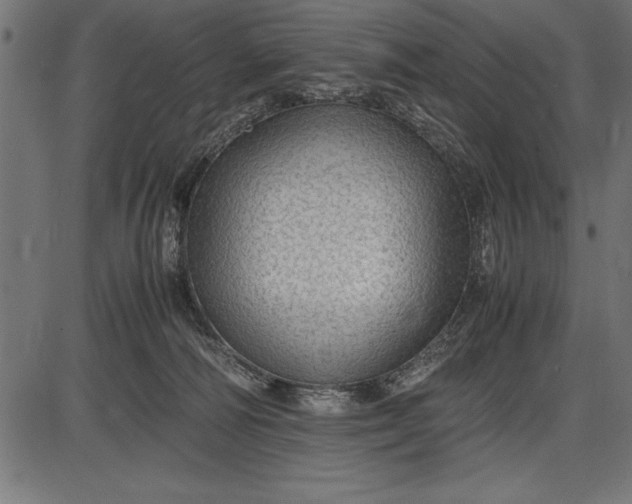 X0000086090226200704091335