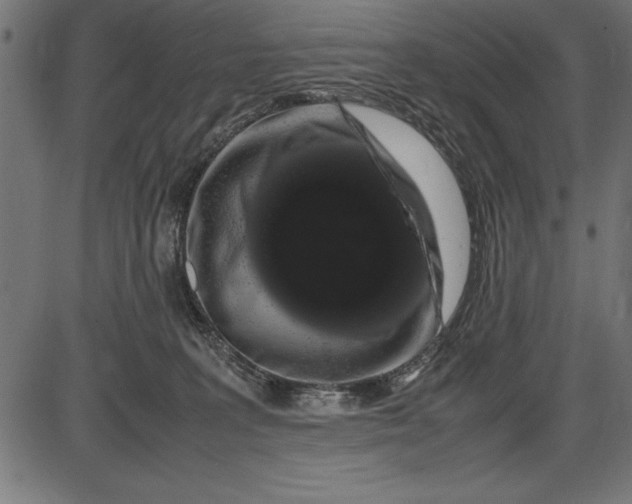 X0000086090227200704091335