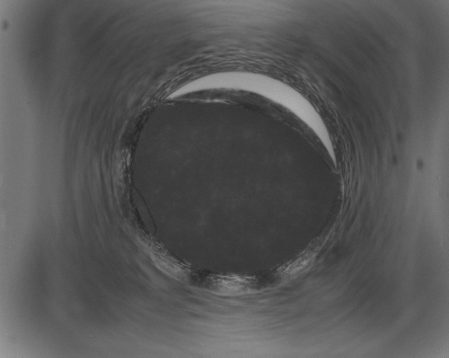 X0000086090229200704091335