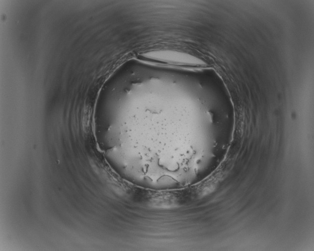 X0000086090230200704091335