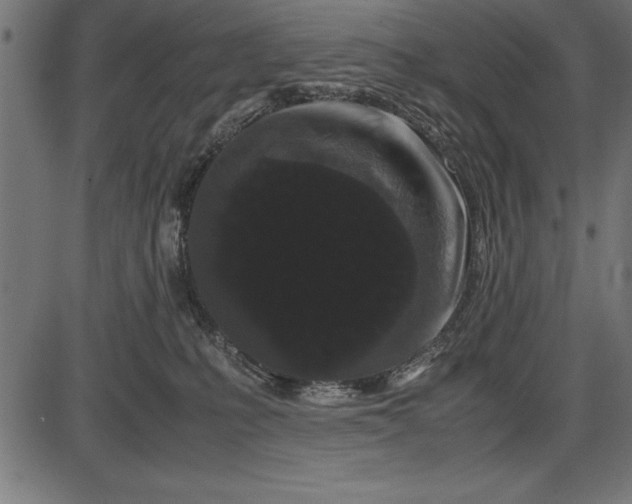 X0000086090231200704091335