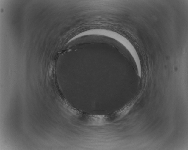 X0000086090233200704091335