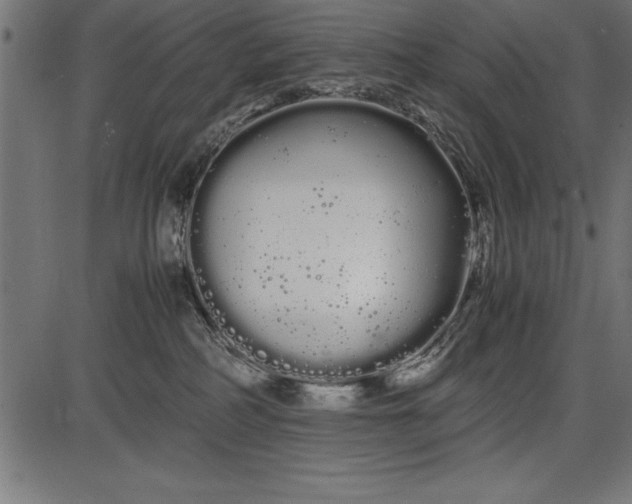 X0000086090234200704091335