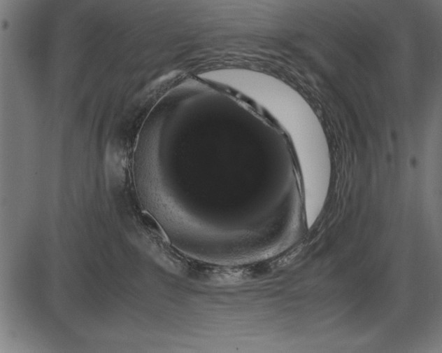 X0000086090235200704091335