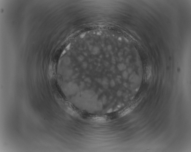 X0000086090236200704091335