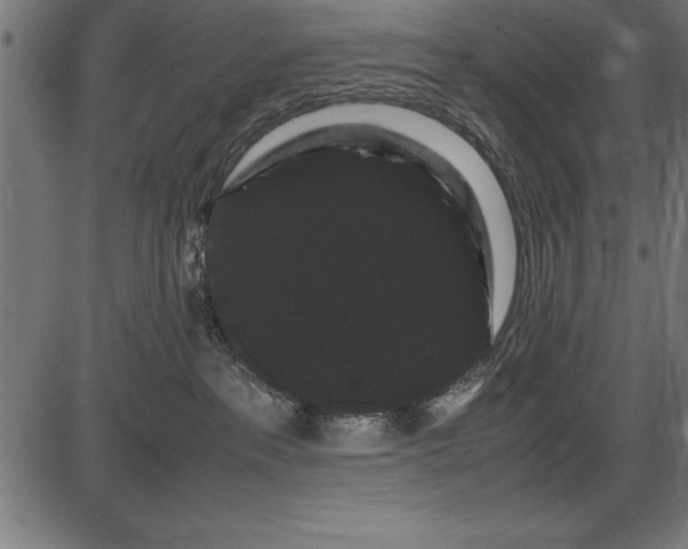 X0000086090237200704091335