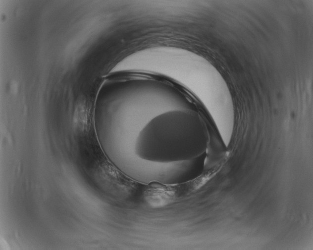 X0000086090239200704091334