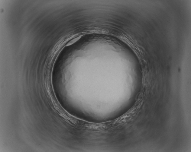 X0000086090241200704091334