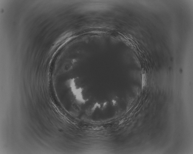 X0000086090243200704091334