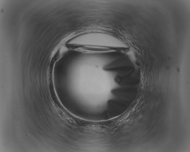 X0000086090244200704091334