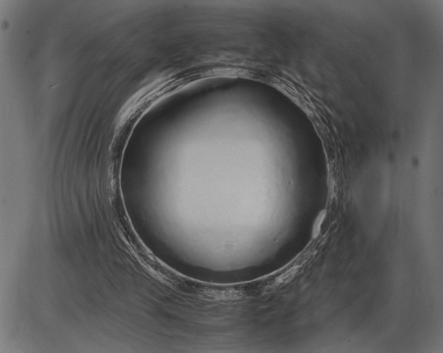 X0000086090245200704091334