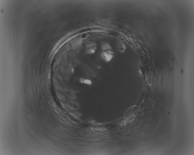 X0000086090247200704091334