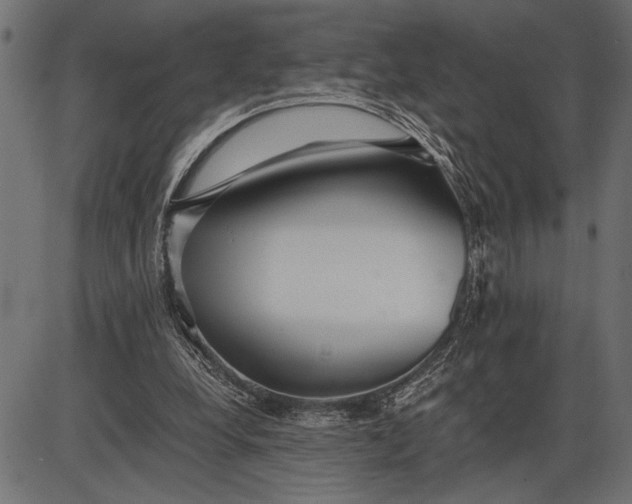 X0000086090248200704091334