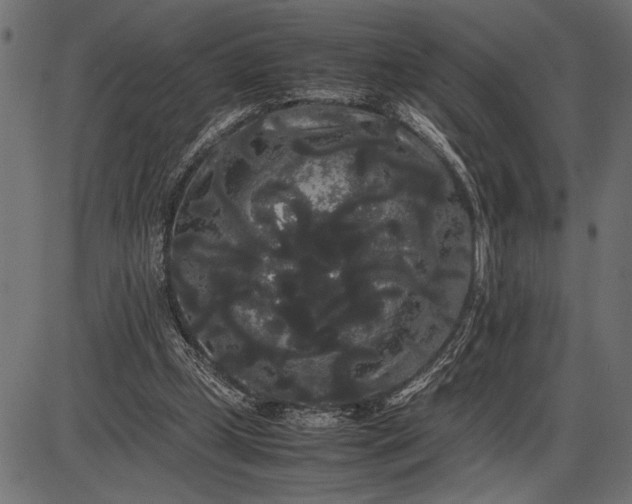 X0000086090249200704091334