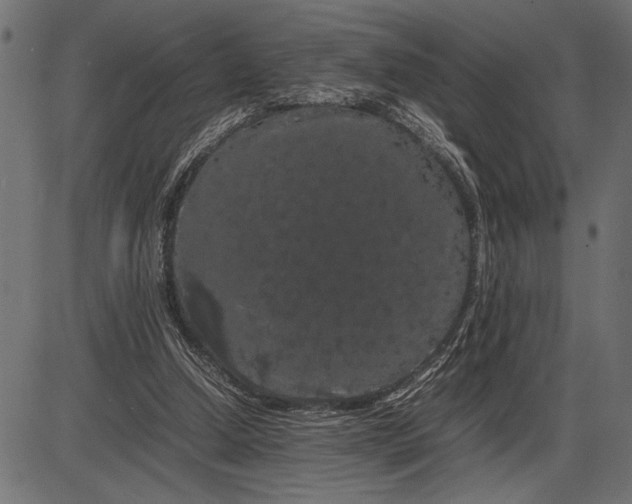 X0000086090250200704091334