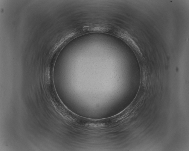 X0000086090251200704091334