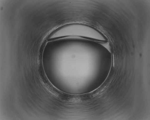 X0000086090252200704091334