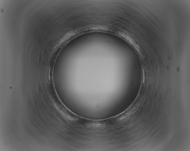 X0000086090253200704091334