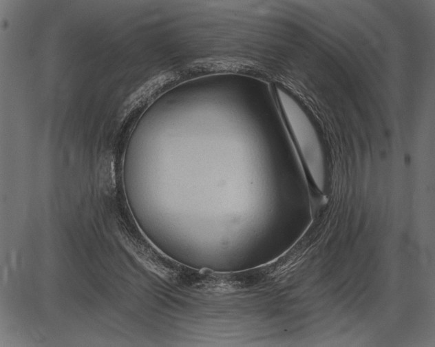 X0000086090254200704091334