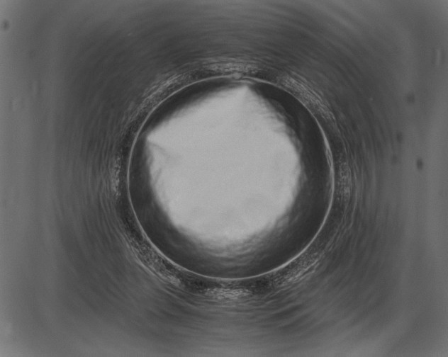 X0000086090255200704091334