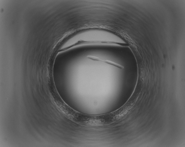 X0000086090256200704091334