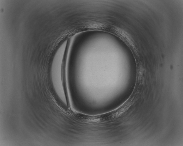 X0000086090257200704091334