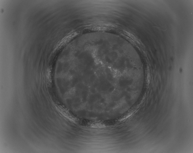 X0000086090258200704091334