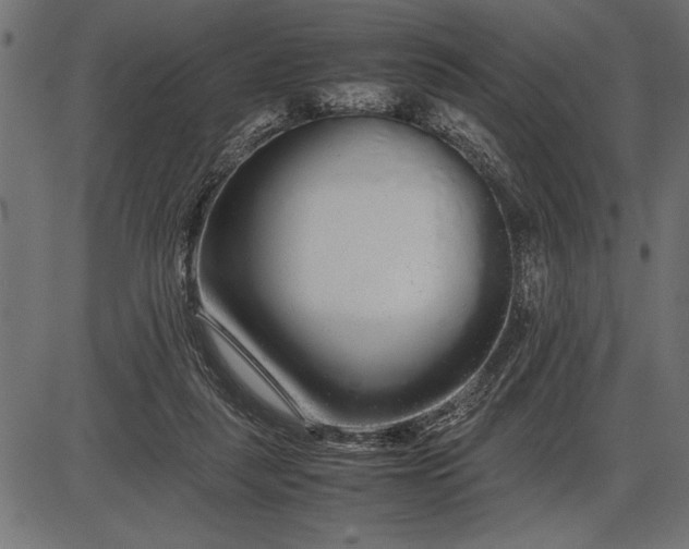 X0000086090259200704091334