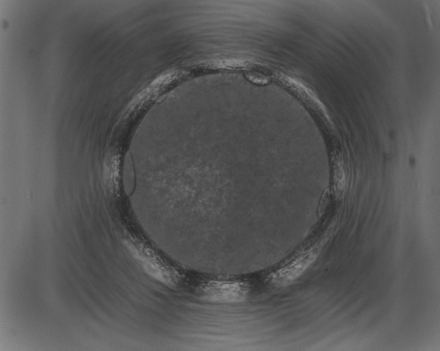 X0000086090260200704091334