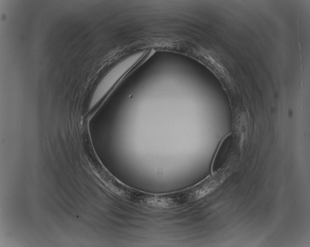 X0000086090261200704091334