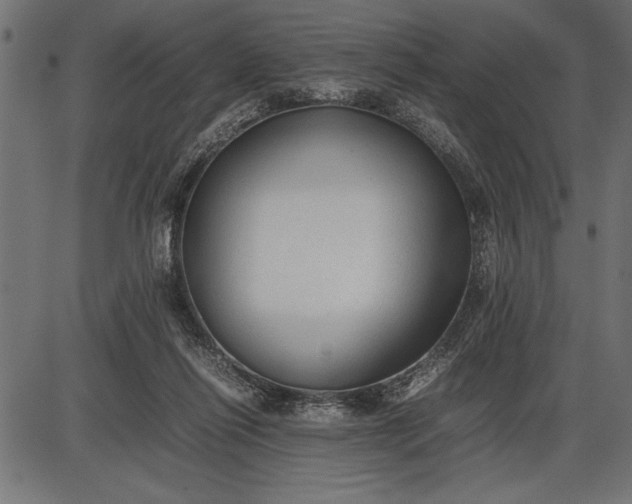 X0000086090262200704091334