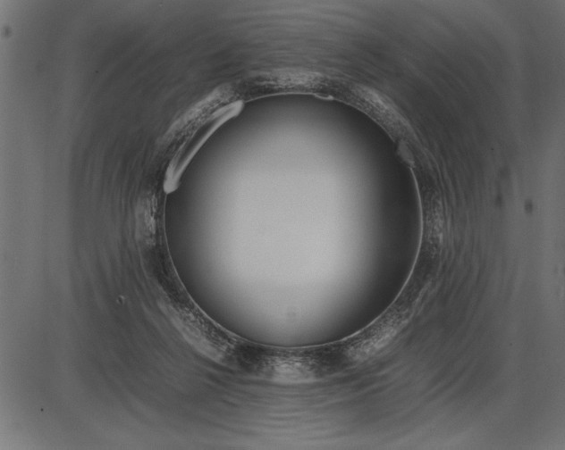 X0000086090264200704091334