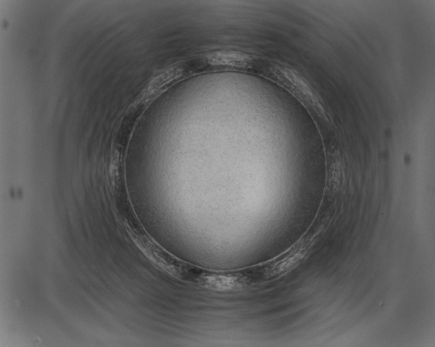 X0000086090265200704091334