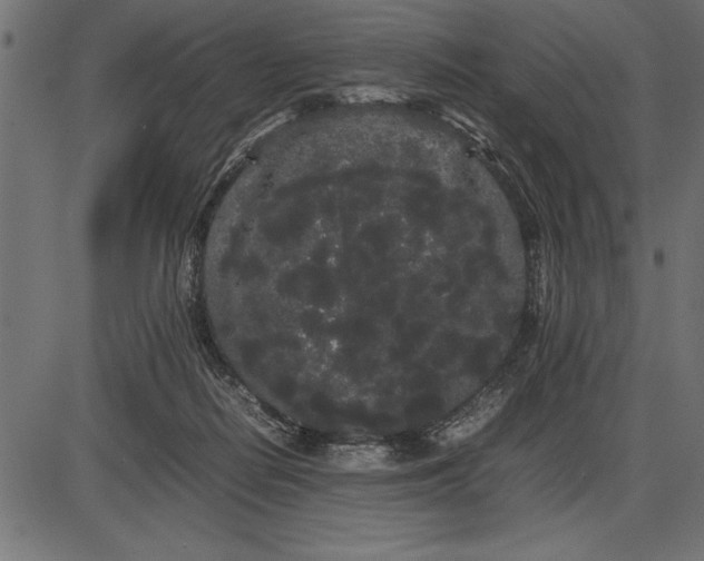 X0000086090266200704091334