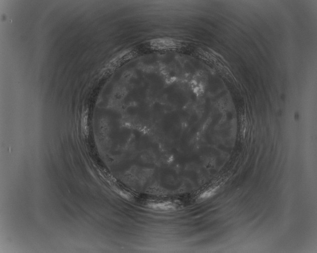 X0000086090267200704091334