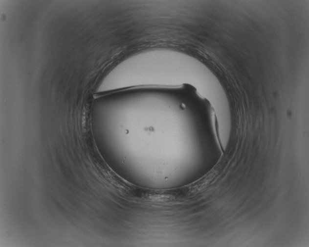 X0000086090268200704091334