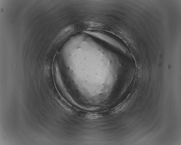 X0000086090269200704091334