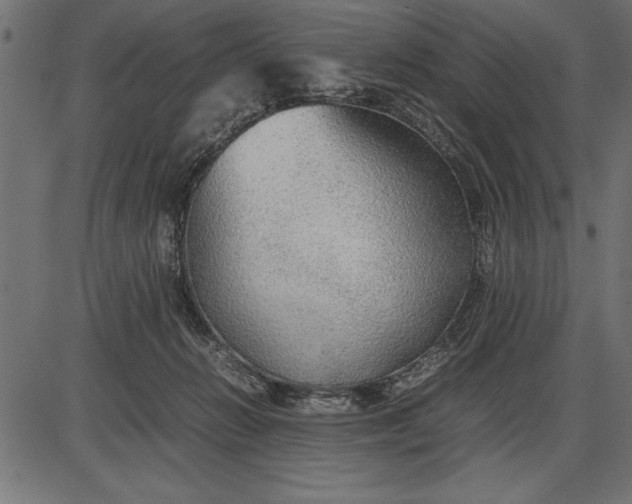 X0000086090270200704091334